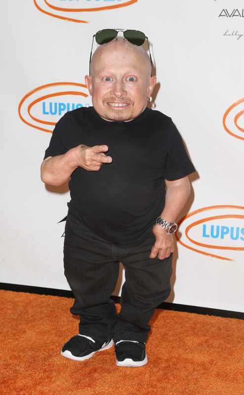 How tall is Verne Troyer