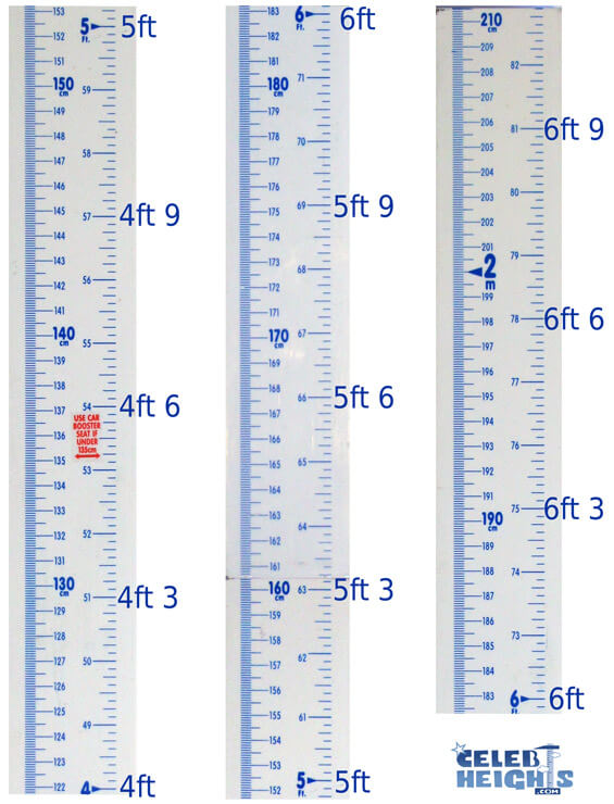 Height Comparison Chart