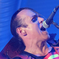Height of Jerry Only