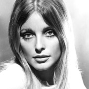 Height of Sharon Tate