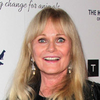 Height of Valerie Perrine